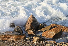 海洋,水,波