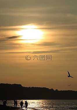 海灘,日落,波羅的海