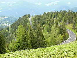 roßfeld,高街,贝