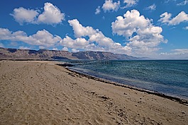 playa弗朗西斯,拉回到,加那利群島