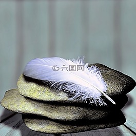 羽毛,石頭,平衡