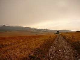 camino,西班牙,朝圣