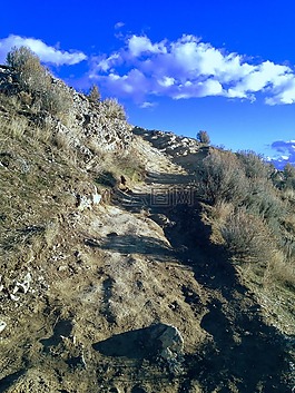 商旗,高峰,先鋒