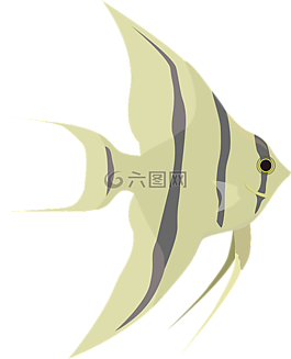 動(dòng)物,魚,水族館
