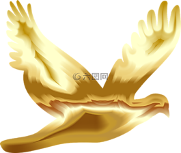 動(dòng)物,鳥(niǎo),鴿子