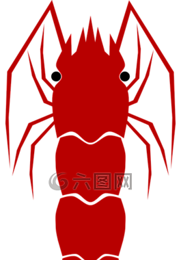 蝦,動物,旱廁