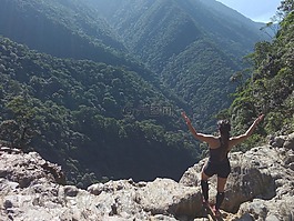 serra mar,植被,山
