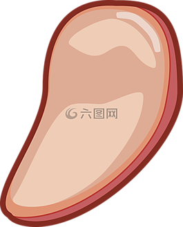 肉,食品,烹飪