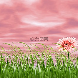 背景,性質(zhì),花