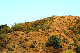 小山,景觀,自然