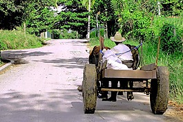 購(gòu)物車(chē),農(nóng)民,性質(zhì)