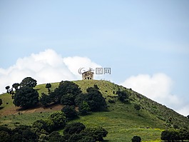 希爾,首頁(yè),景觀