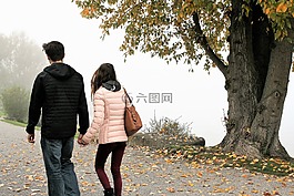 段,葉子,秋