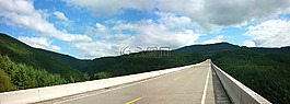 橋,景觀,全景
