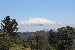森林,景觀,性質(zhì)