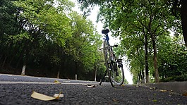 自行車,自然,風景