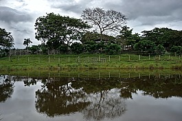 農(nóng)場,池,反思