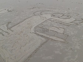 海灘,砂,怪物