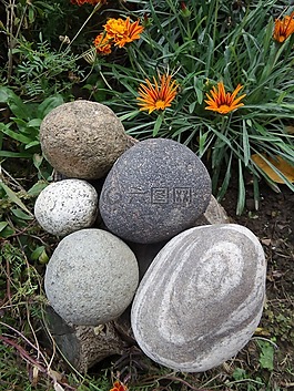 花園,鮮花,石頭
