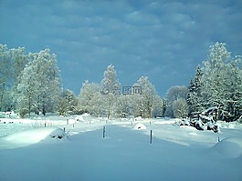 冬天,森林,雪