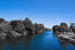 水,河,夏天