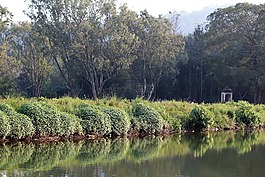 風(fēng)景,反思,水