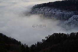 霜,霧,冰