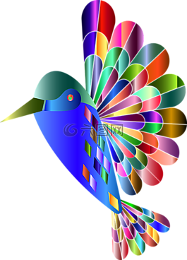 蜂鳥,動物,鳥