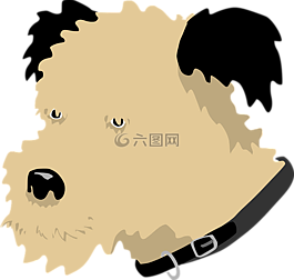 狗,寵物,動物