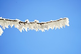 科,霜,冰鎮(zhèn)