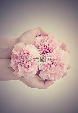 鮮花,丁香,粉紅色