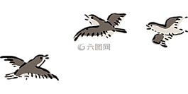 鳥,寶,飛行