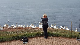 格蘭,巖,北海