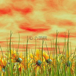 黃色的花朵,性質,天空