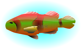 動物,多彩,魚