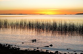 abendstimmung,喀喀,日落