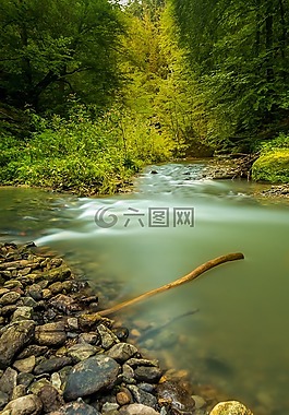 性質,水,過獨身生活