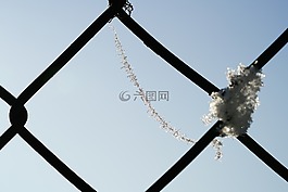 spinnwebfaden,霜,eiskristalle