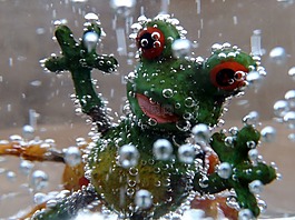 青蛙,水,綠色