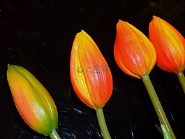 葉子,花,花束