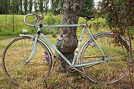 自行車(chē),天空藍(lán),自由