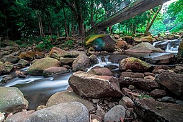 自然,水,木材