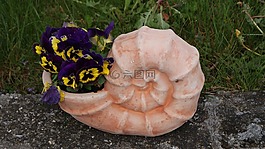 蜗牛,斗,鲜花