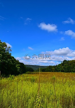 原野,自然,景觀