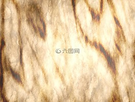 紙,羊皮紙,老