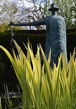 花園,鮮花,兔