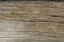 木,紋理,結(jié)構(gòu)