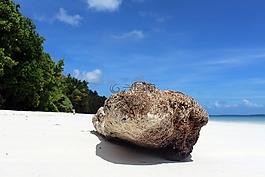 海灘,砂,海