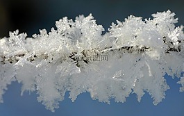 弗羅斯特,冬天,霜