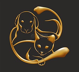 黃金,狗,貓